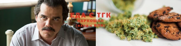 индика Нефтекумск