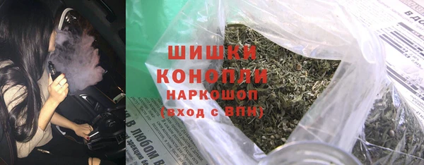 индика Нефтекумск