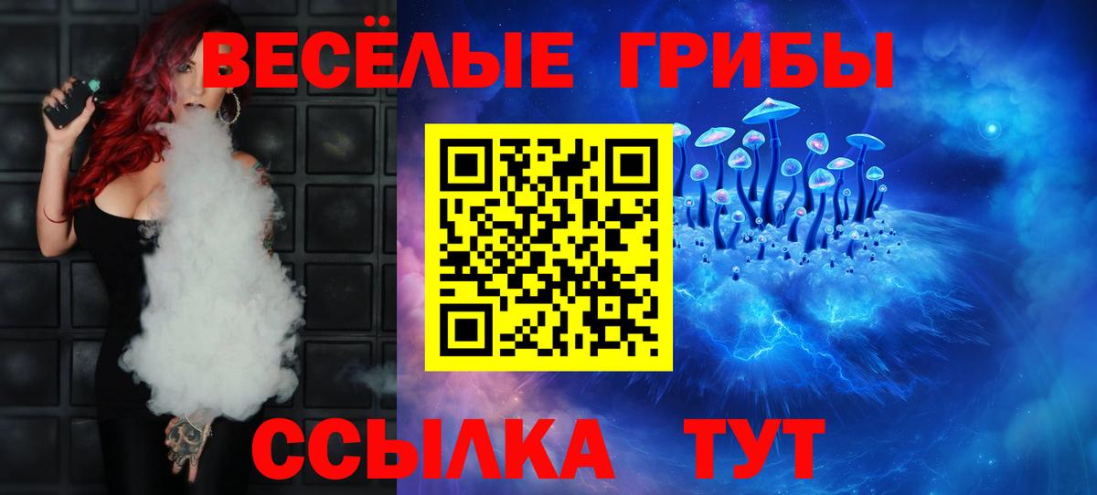 Галлюциногенные грибы Psilocybine cubensis  цены наркотик  Новошахтинск  Вход с VPN 