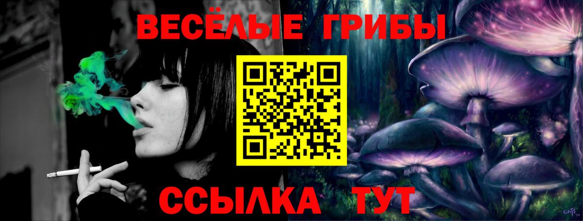 Псилоцибиновые грибы Magic Shrooms Новошахтинск