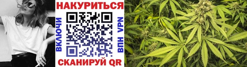 Канабис гибрид  Новошахтинск 