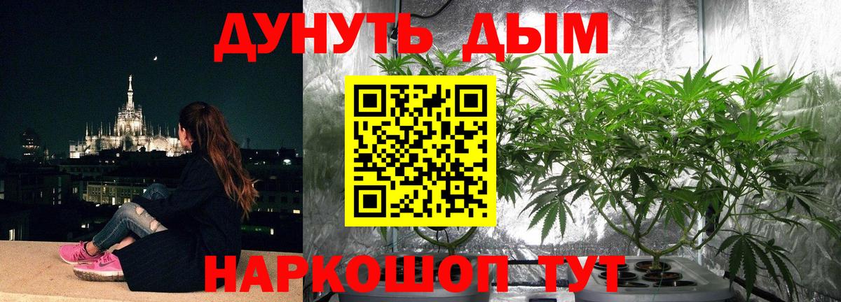 ГАШИШ Новошахтинск